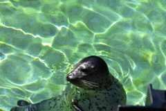 3431A162-8079-4660-8A8E-D77C666A55DD