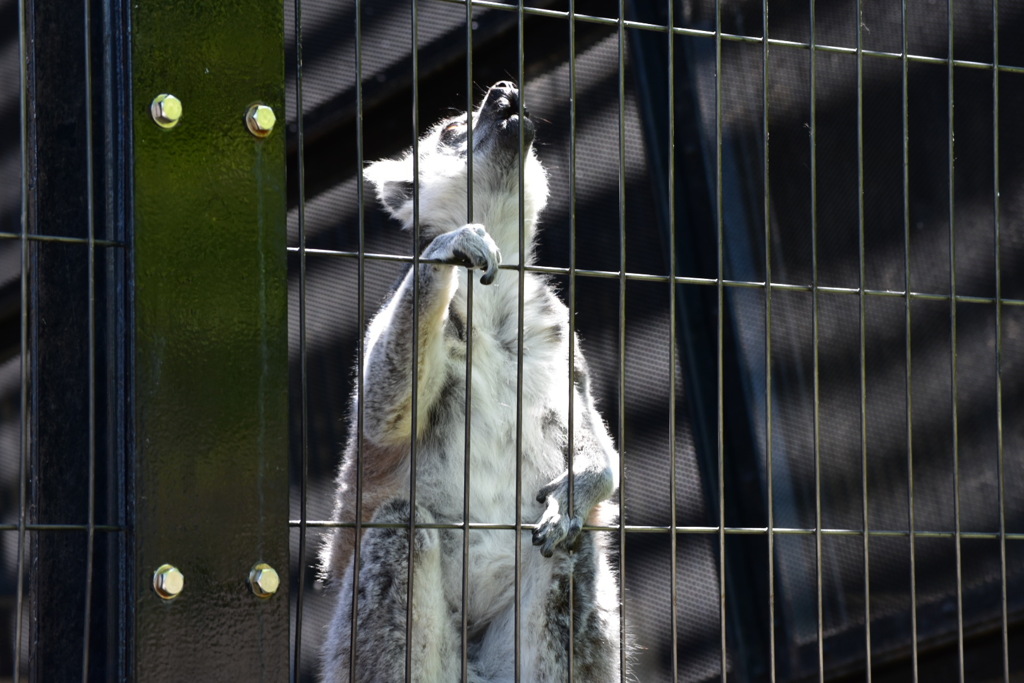 7893B008-F500-410F-B90D-C8C2A3EED95C