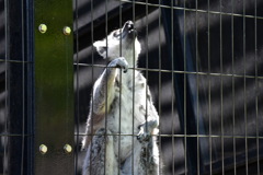 7893B008-F500-410F-B90D-C8C2A3EED95C