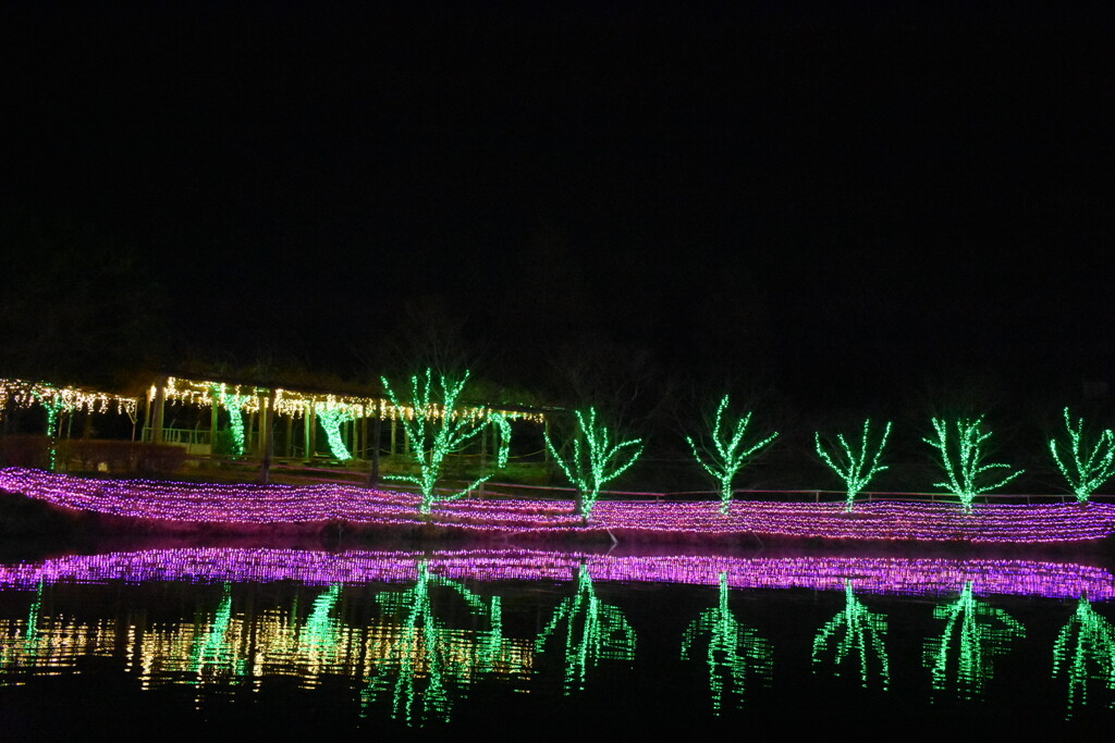 EB03C58E-EAC8-4947-B906-170FF53F4649