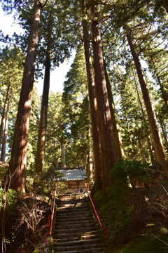 90C765CA-44D4-4A4F-94D8-8EF48E6BE7F2