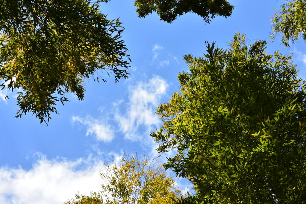 BB48C516-65EE-4961-9283-C202D2A17ABA