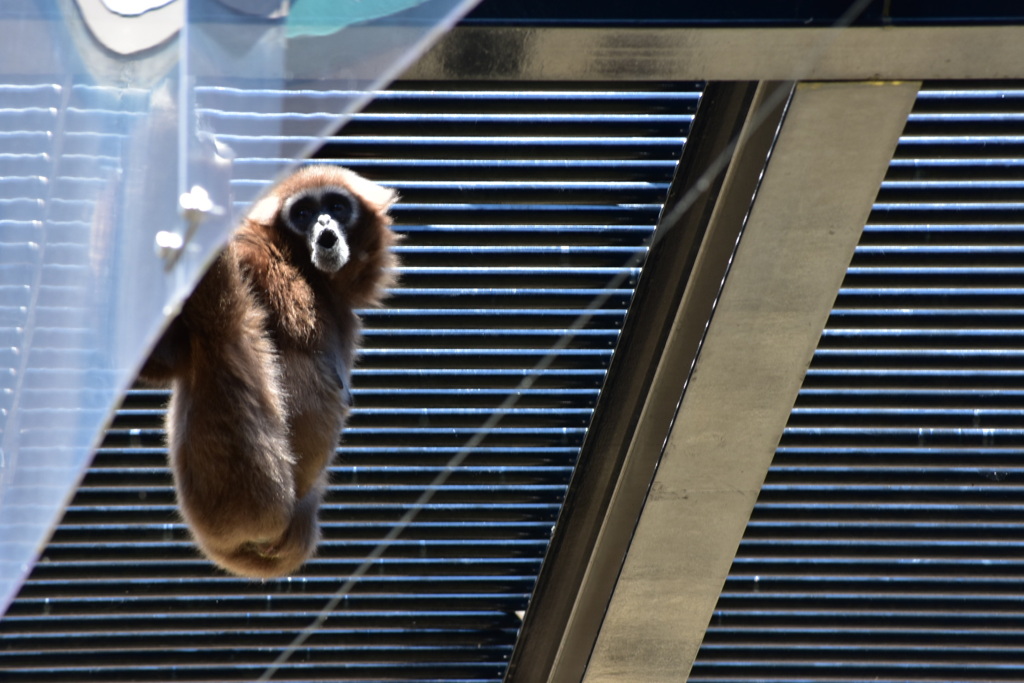 868704C3-999E-4770-8A3A-86ED2A36A0C3