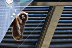 868704C3-999E-4770-8A3A-86ED2A36A0C3