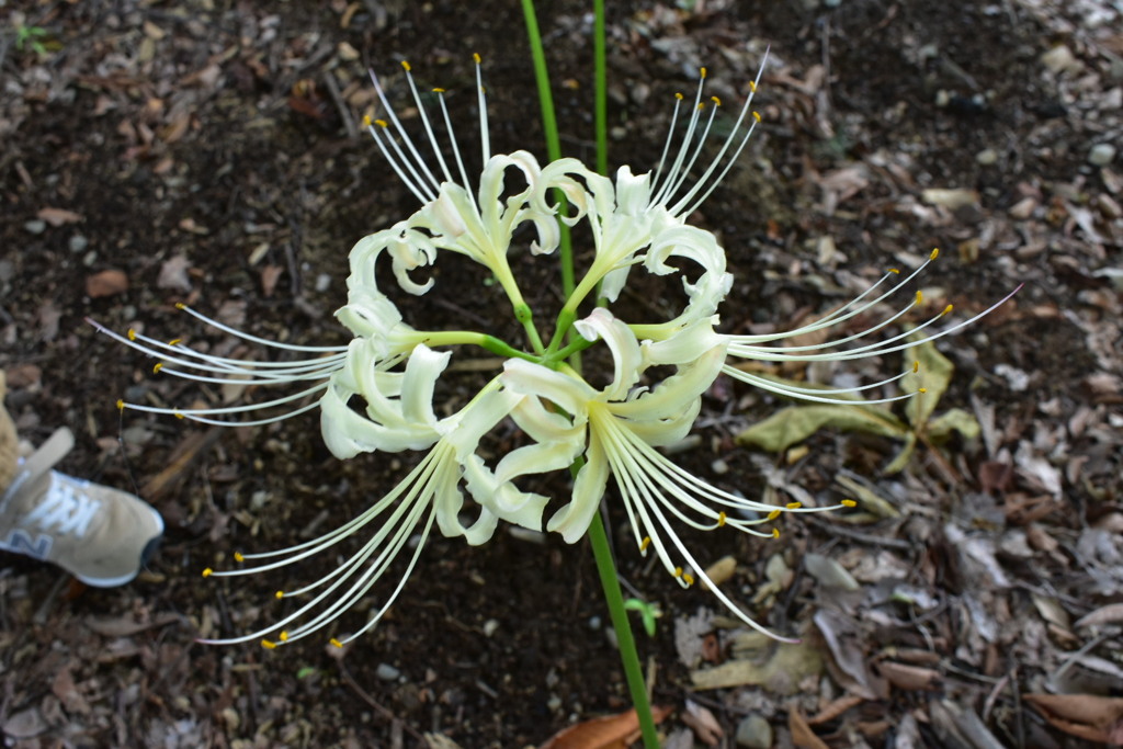 D6439FD8-E89E-4260-8FC7-2E7929D4EEDA