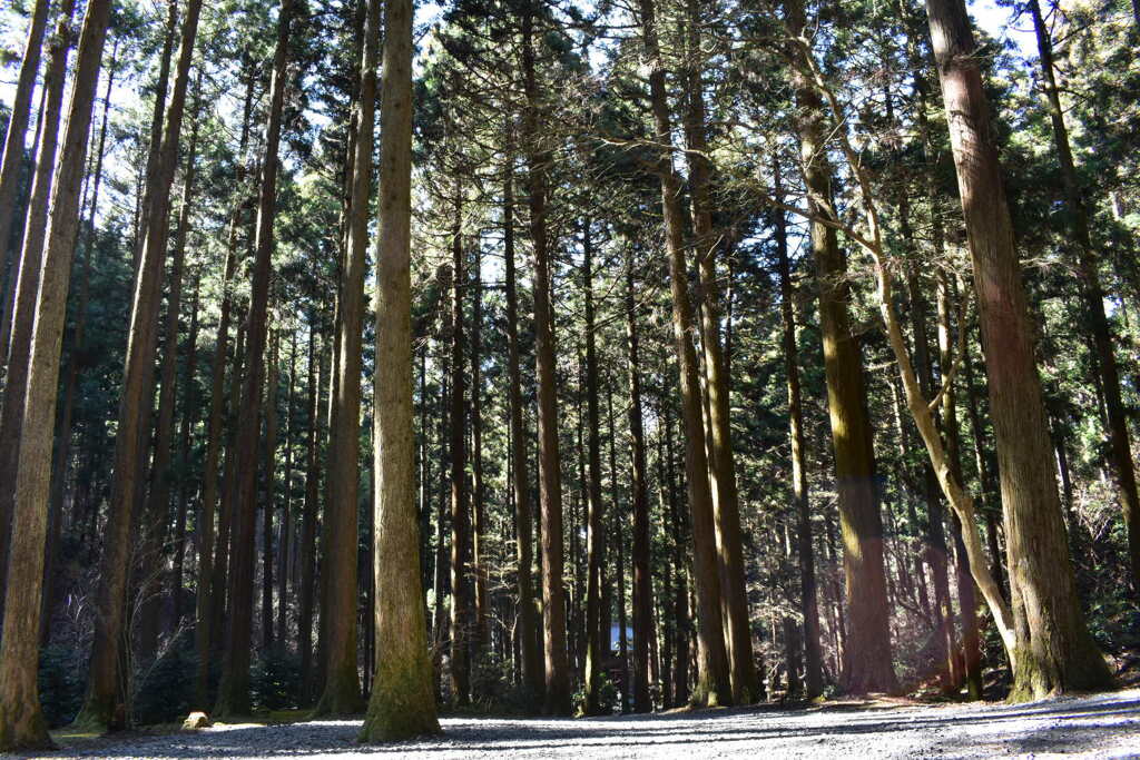 E4105A59-C611-42B9-98FF-DD00E2D6E7ED