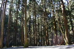 E4105A59-C611-42B9-98FF-DD00E2D6E7ED