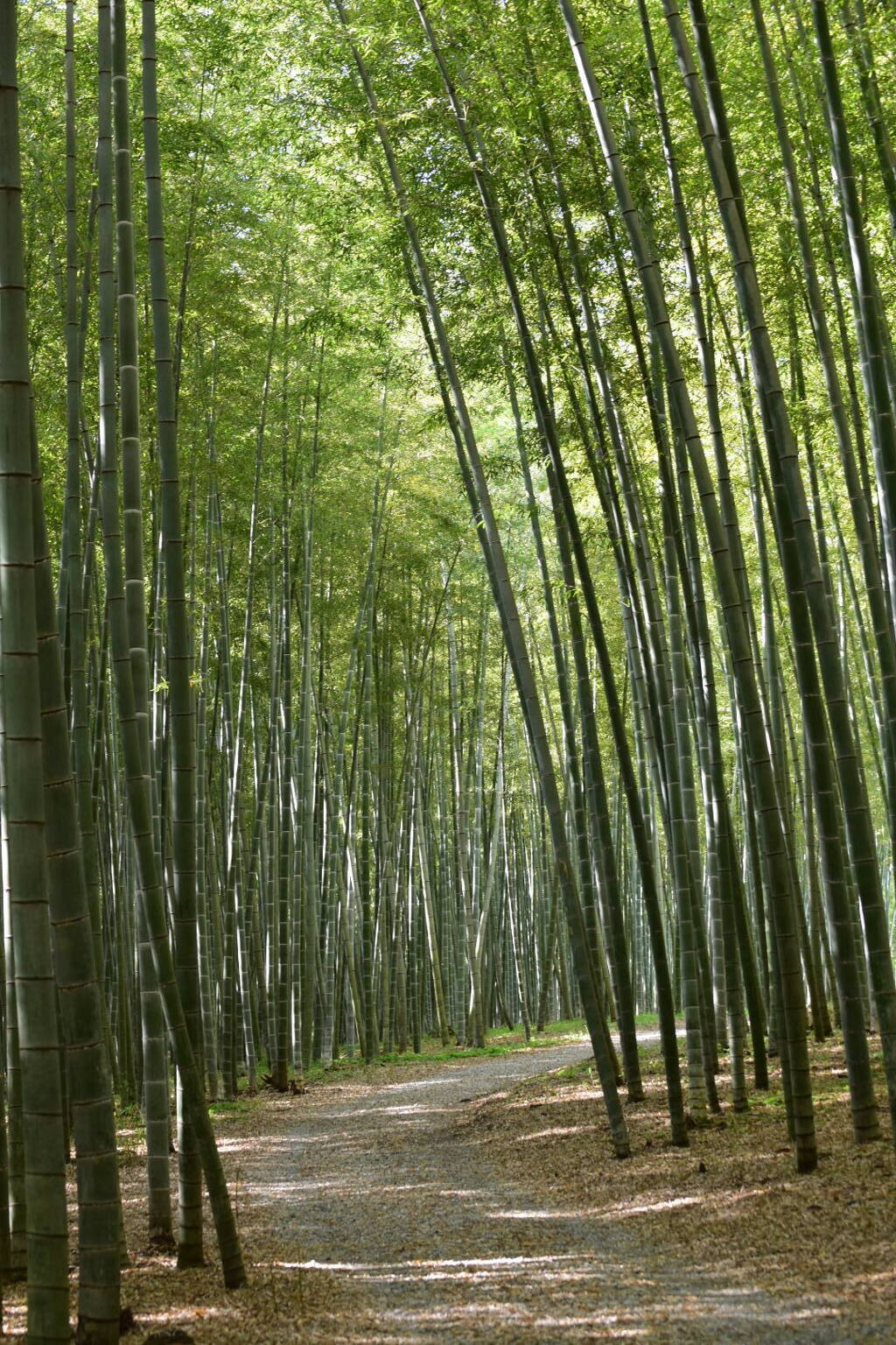 46F8E8AC-9E70-4C4F-9D3C-22BE0BE8641E