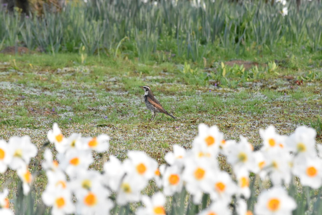 C75C9447-4436-4259-BD99-F4B21045762D