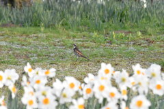 C75C9447-4436-4259-BD99-F4B21045762D