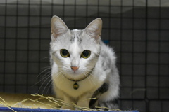 39C252EA-B9EA-4B29-A85D-A241F9CB120C