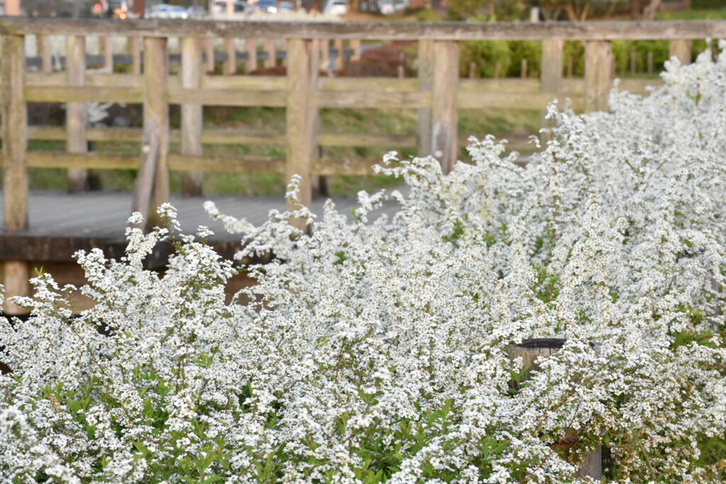 2D06C758-3AF6-4E7B-8E4B-90ECA7AAC84E