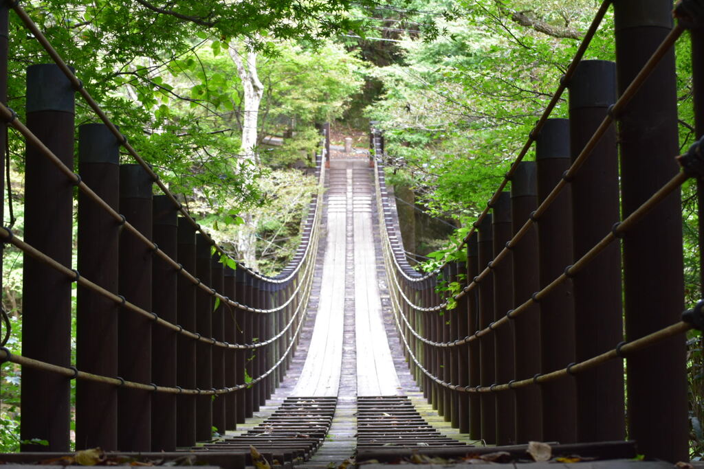 どこに行ける？