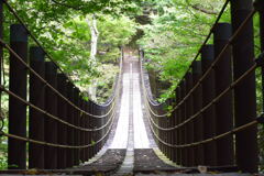 どこに行ける？