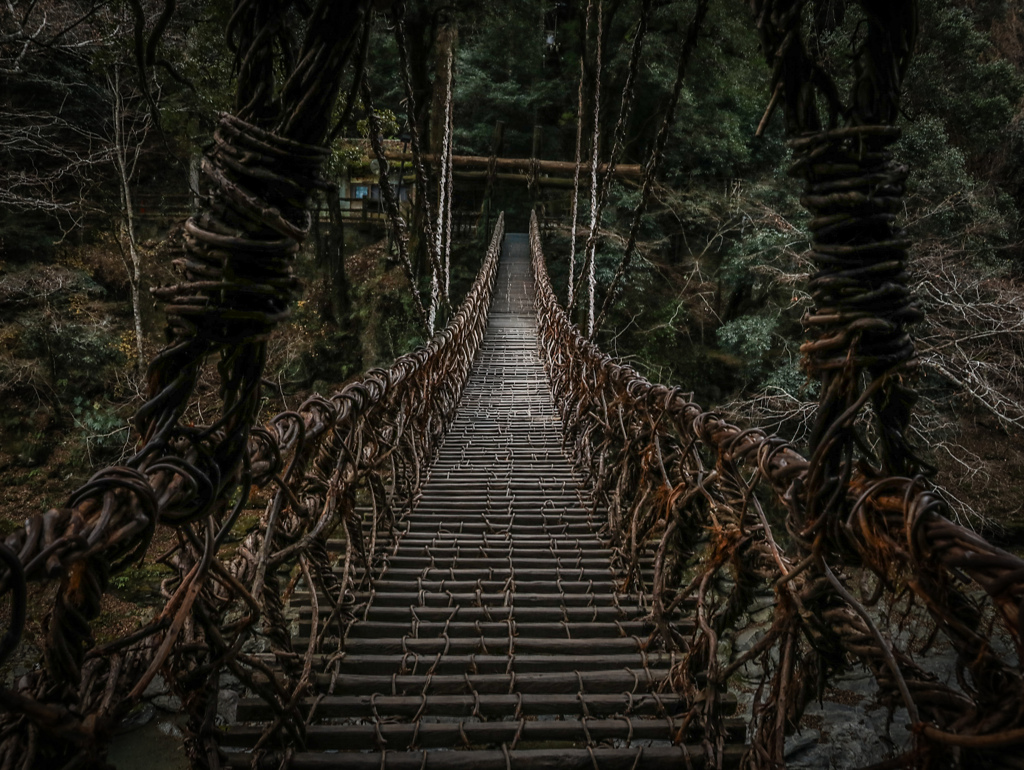 祖谷のかずら橋