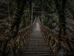 祖谷のかずら橋