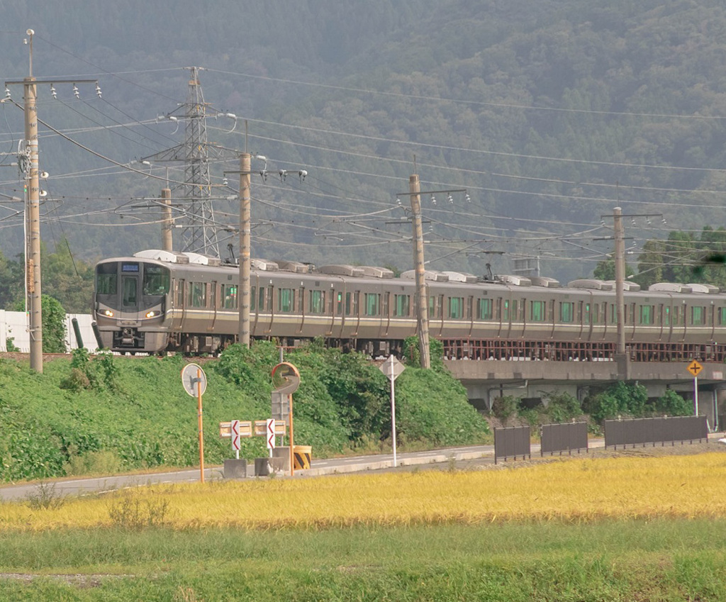 湖西線と田園風景