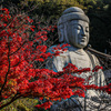 壺阪寺の紅葉