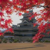 国宝松本城