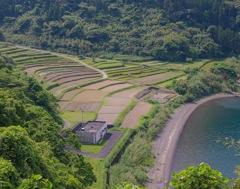 新永吉の棚田