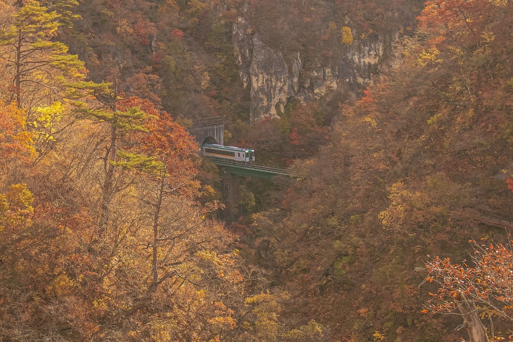鳴子峡から眺める気動車
