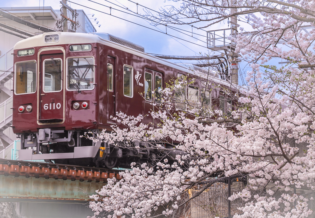 夙川公園と阪急電車