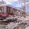 夙川公園と阪急電車