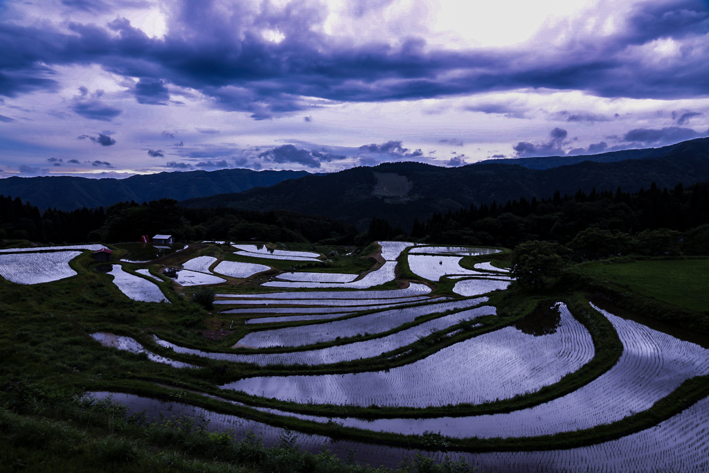 別宮の棚田