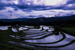 別宮の棚田