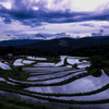 別宮の棚田