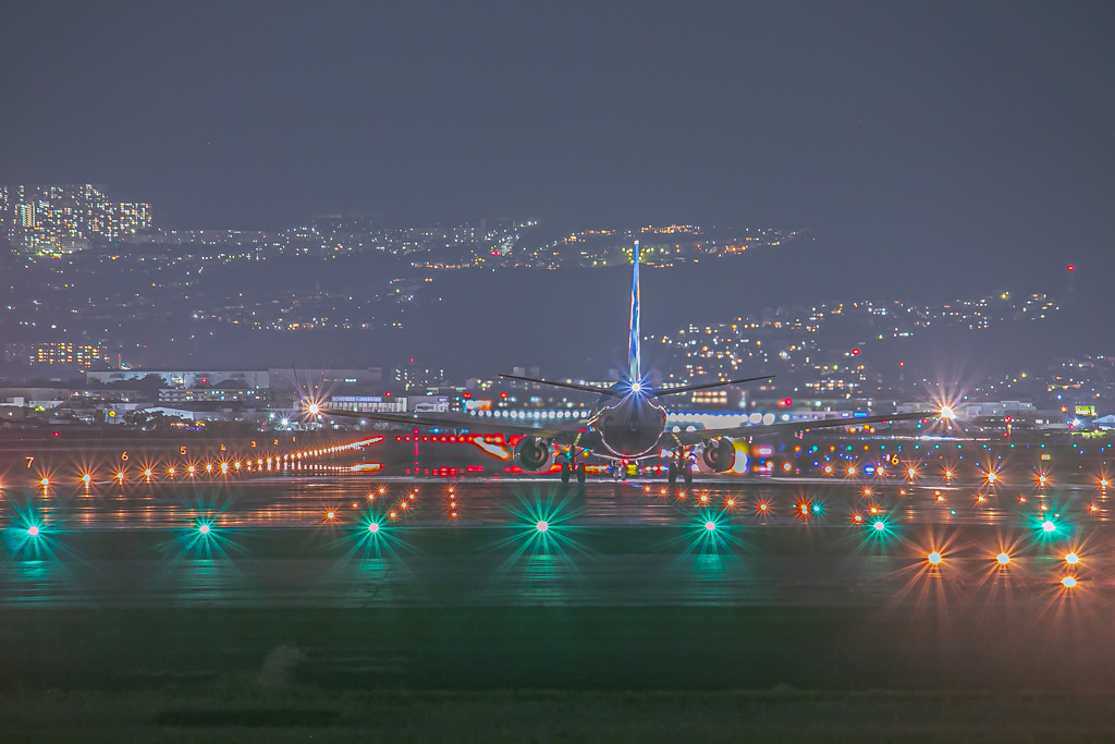 ANA B737-800