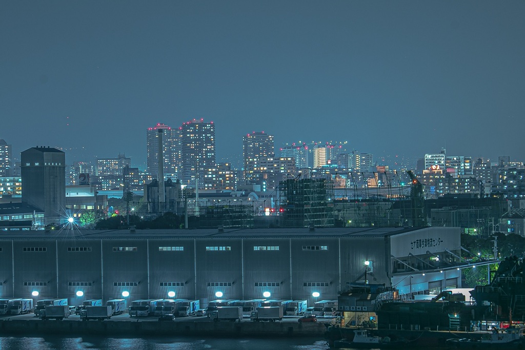 自粛中の散歩