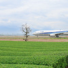 茶畑と鹿児島空港