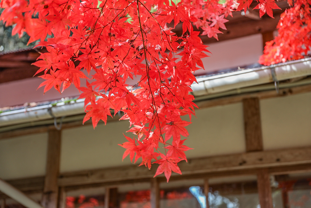 播州清水寺