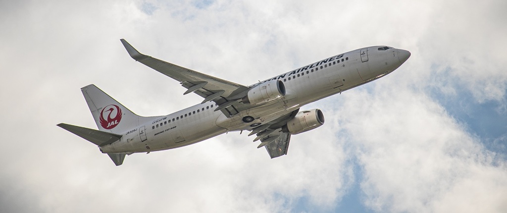 JAL B737-800