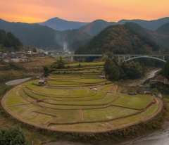 あらぎ島