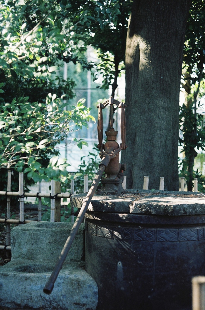 中野-井戸