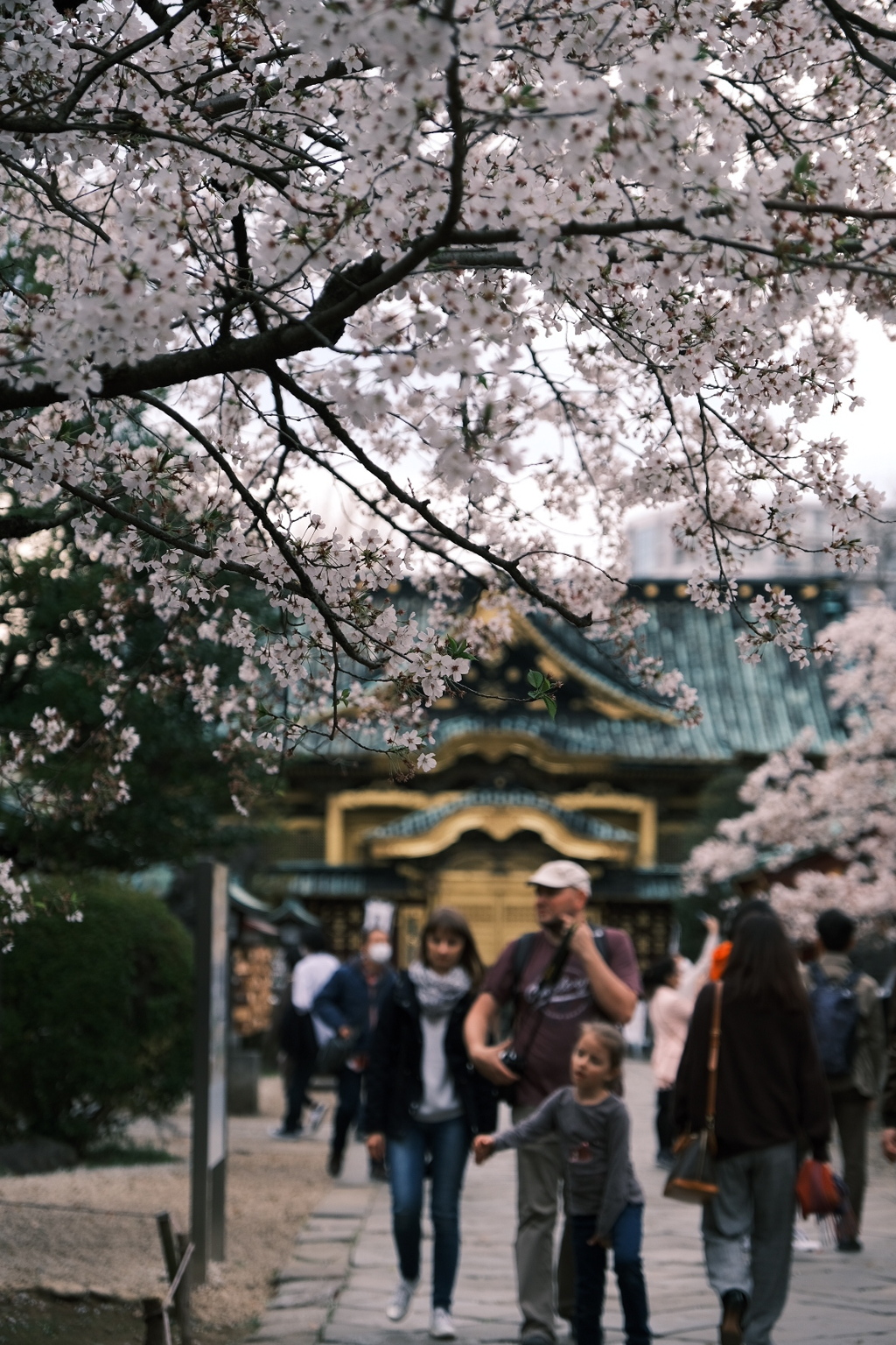 煌びやかさを背景に。