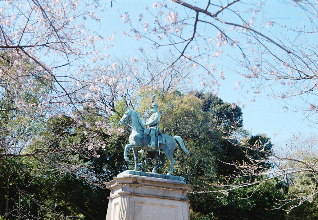 ライカで撮った春の始まり