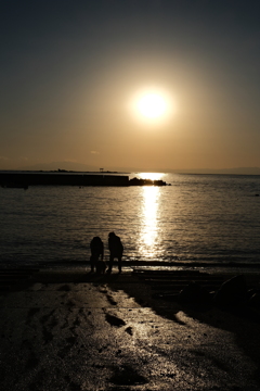 海と日常