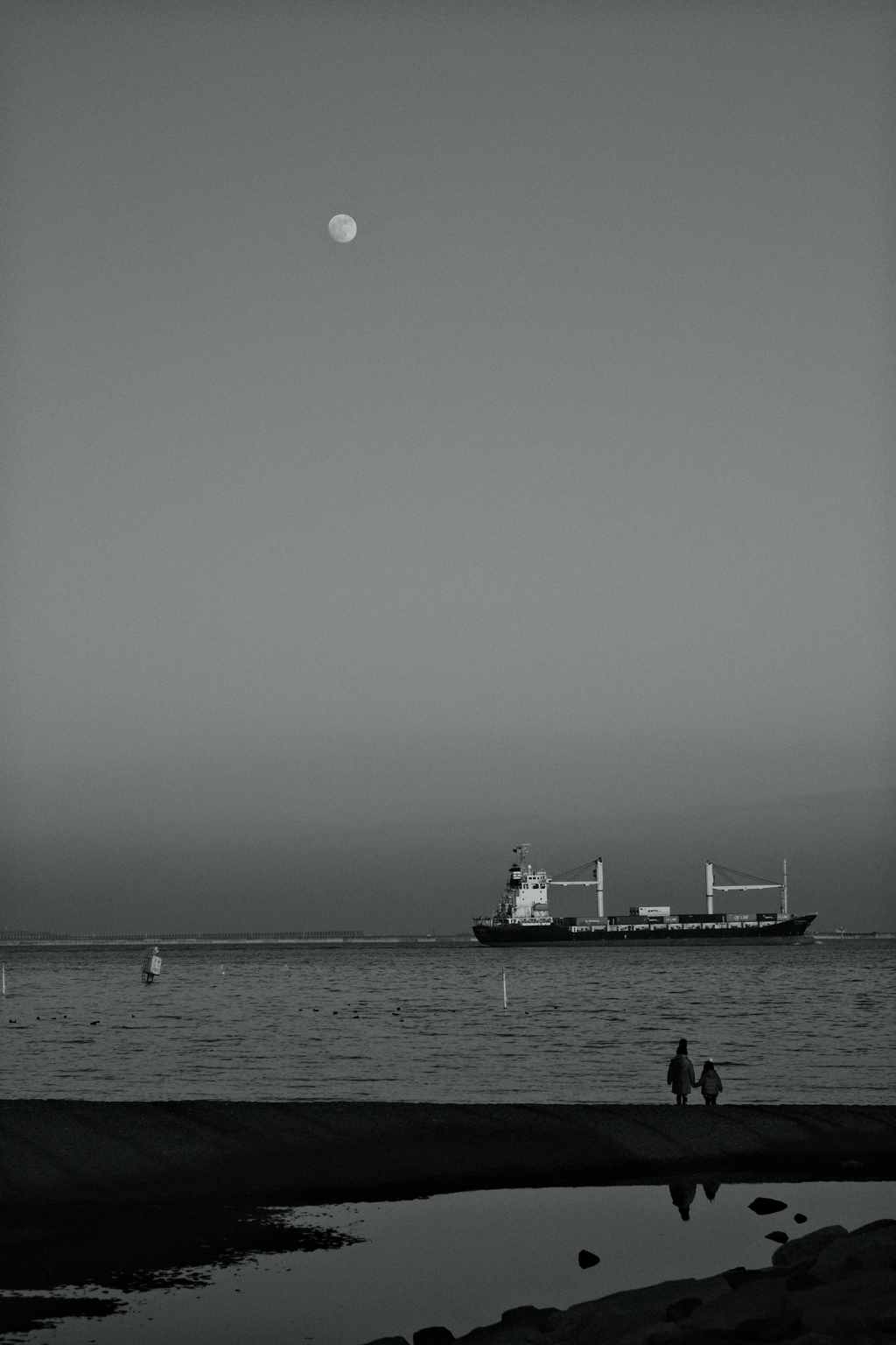 東京の海は…