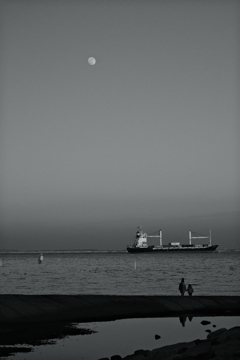 東京の海は…