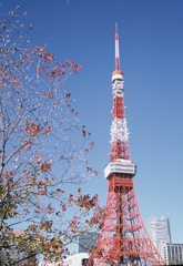 某有名な電波塔