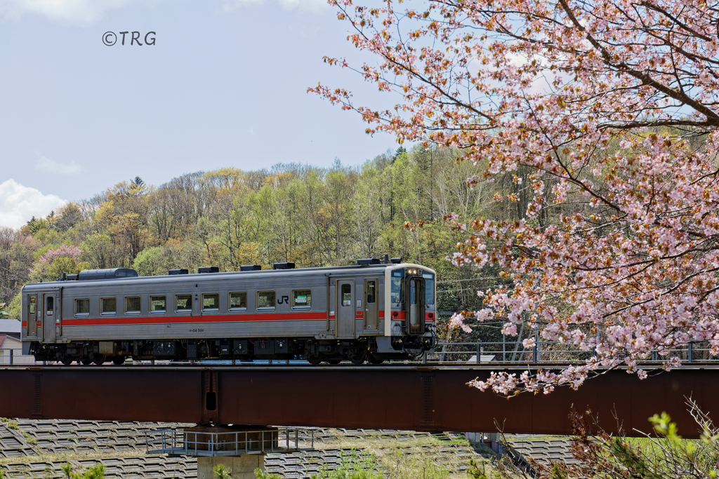 花見列車