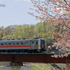 花見列車