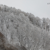 雪の華