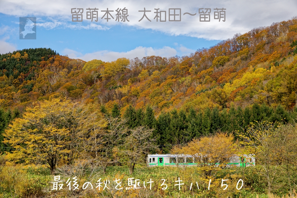 記憶(６)