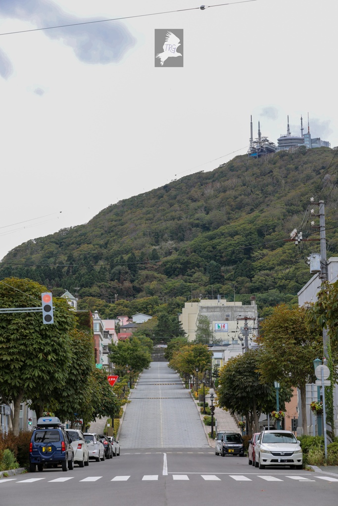 函館５(八幡坂 坂の下より函館山を望む)