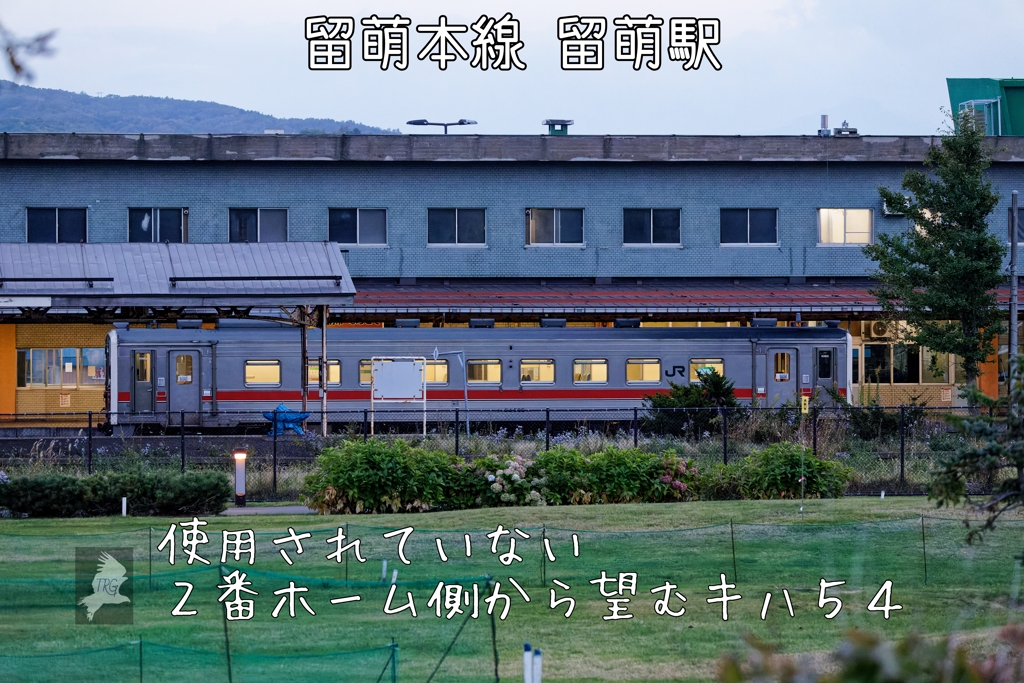 記憶(１９)
