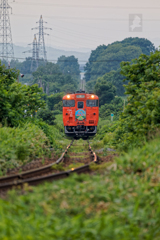 ぬまた号【団体臨時列車】(留萌本線)